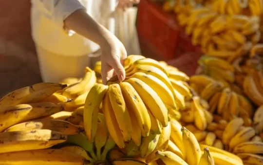 Keep Bananas From Rotting With This Amazingly Simple Banana Hack!