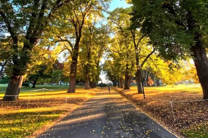 Fitzroy Gardens