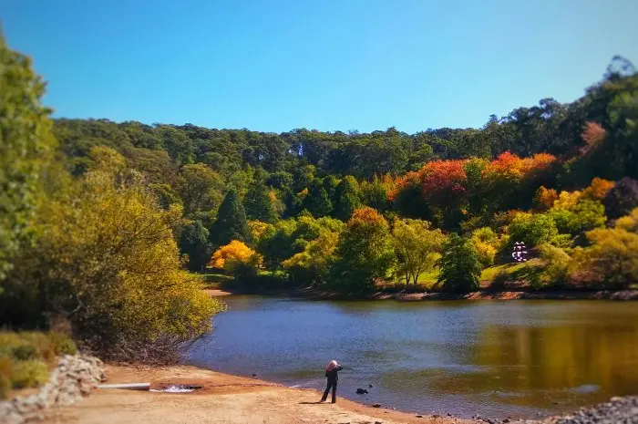 Mount Lofty Botanic Garden