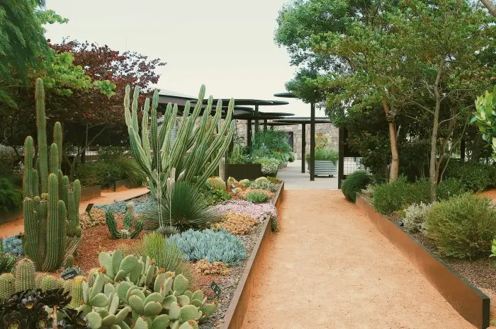 National Arboretum Canberra