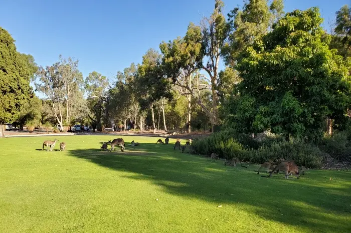 Yanchep National Park